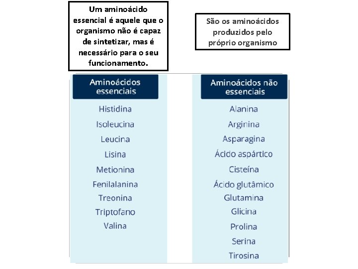 Um aminoácido essencial é aquele que o organismo não é capaz de sintetizar, mas