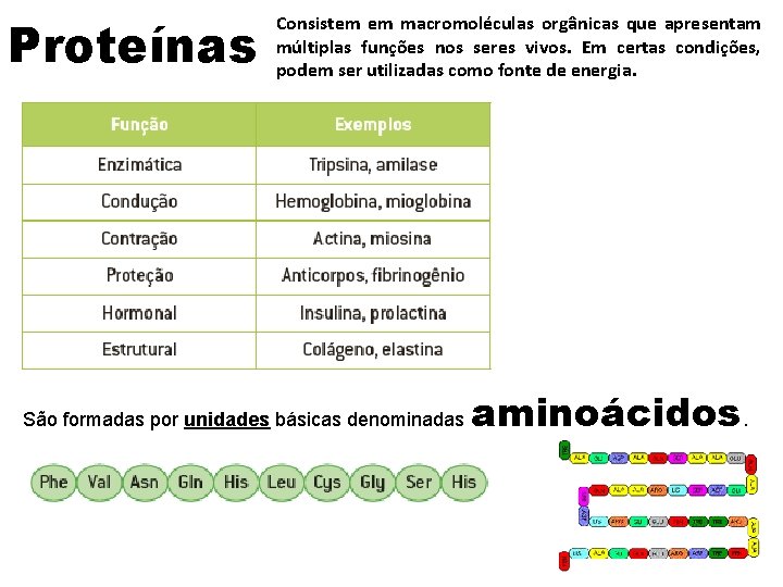 Proteínas Consistem em macromoléculas orgânicas que apresentam múltiplas funções nos seres vivos. Em certas