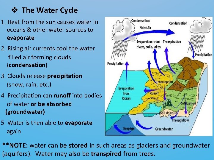 v The Water Cycle 1. Heat from the sun causes water in oceans &