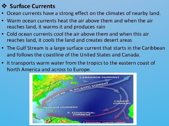 v Surface Currents • Ocean currents have a strong effect on the climates of