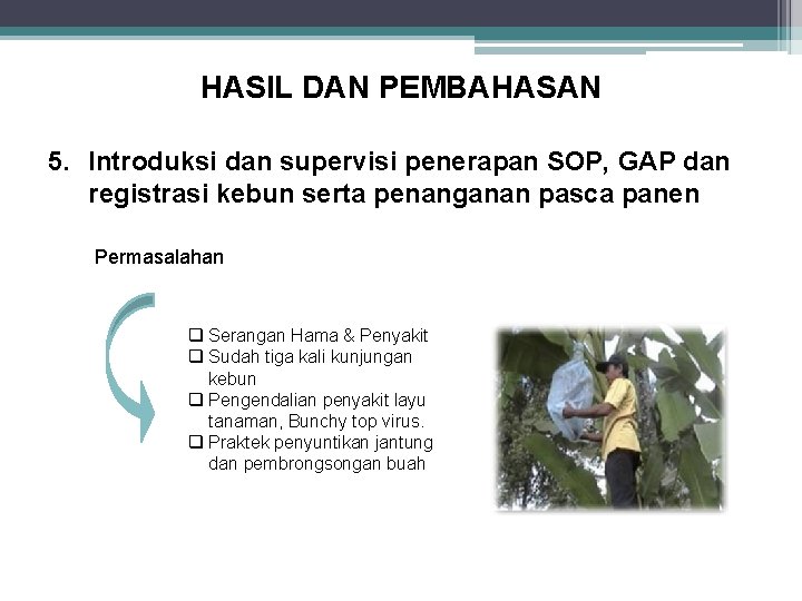 HASIL DAN PEMBAHASAN 5. Introduksi dan supervisi penerapan SOP, GAP dan registrasi kebun serta