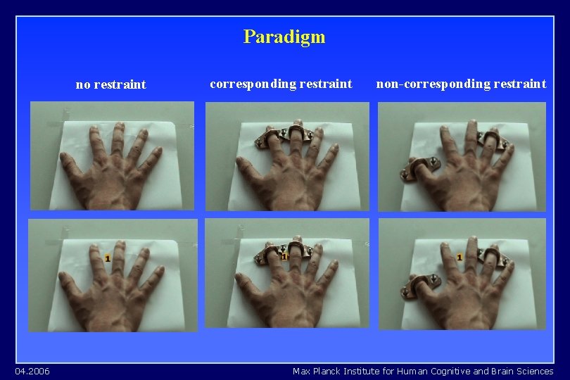 Paradigm no restraint 04. 2006 corresponding restraint non-corresponding restraint Max Planck Institute for Human Paradigm no restraint 04. 2006 corresponding restraint non-corresponding restraint Max Planck Institute for Human