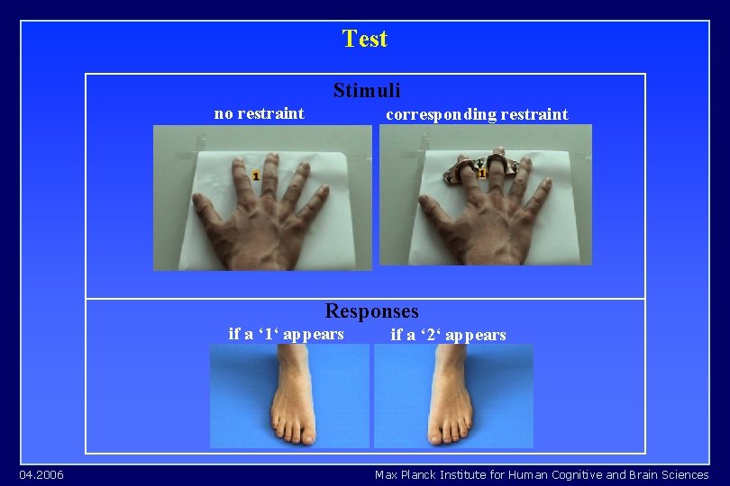 Test Stimuli no restraint corresponding restraint Responses if a ‘ 1‘ appears 04. 2006 Test Stimuli no restraint corresponding restraint Responses if a ‘ 1‘ appears 04. 2006