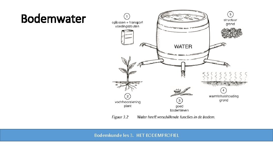 Bodemwater Bodemkunde les 3. HET BODEMPROFIEL 