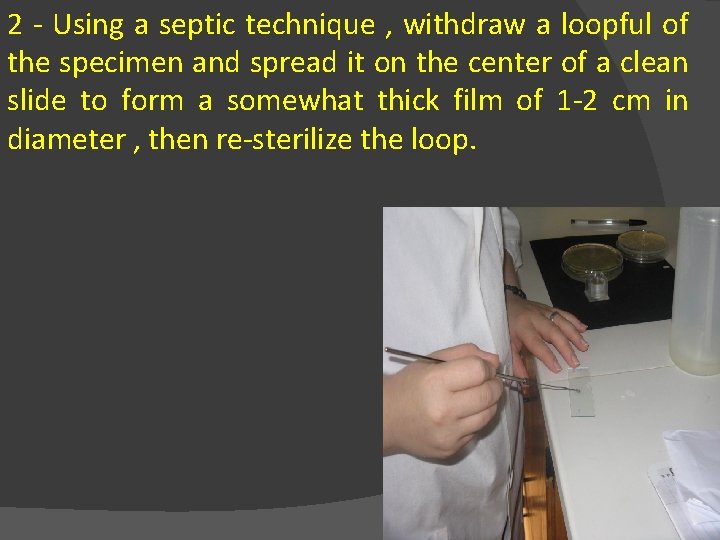2 - Using a septic technique , withdraw a loopful of the specimen and