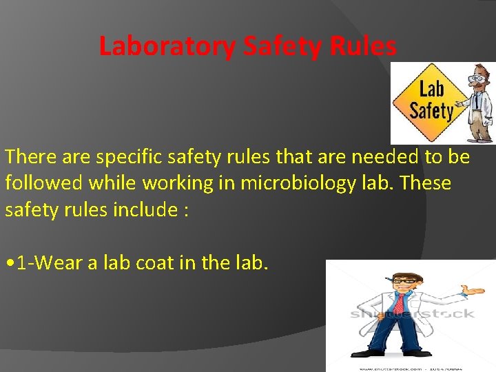 PRACTICAL MICROBIOLOGY LAB 1 Laboratory Safety Rules Microscope