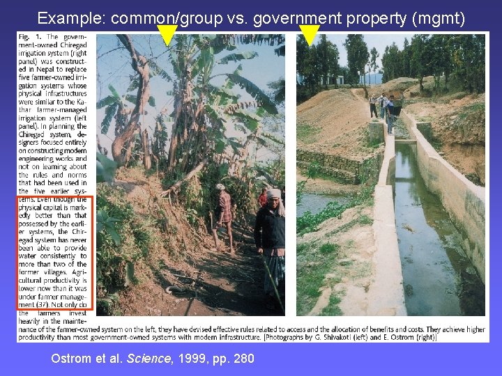 Example: common/group vs. government property (mgmt) Ostrom et al. Science, 1999, pp. 280 