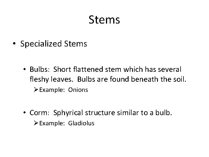 Stems • Specialized Stems • Bulbs: Short flattened stem which has several fleshy leaves.