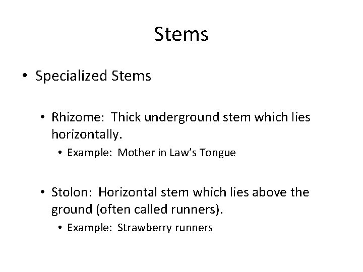 Stems • Specialized Stems • Rhizome: Thick underground stem which lies horizontally. • Example: