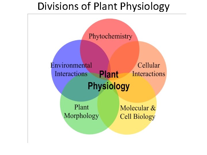 Divisions of Plant Physiology 