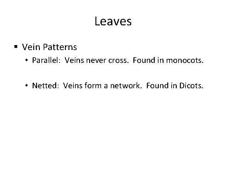 Leaves § Vein Patterns • Parallel: Veins never cross. Found in monocots. • Netted: