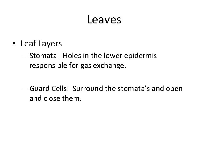 Leaves • Leaf Layers – Stomata: Holes in the lower epidermis responsible for gas
