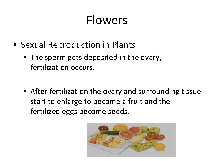 Flowers § Sexual Reproduction in Plants • The sperm gets deposited in the ovary,