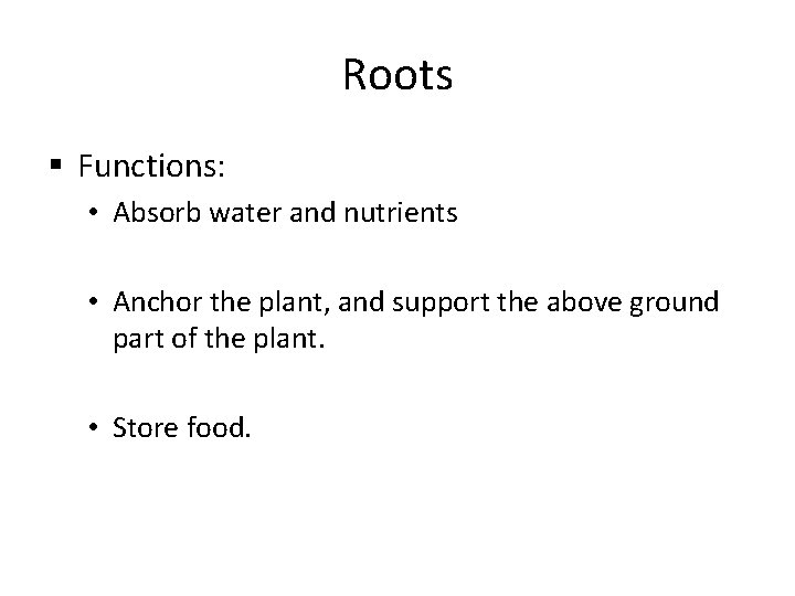 Roots § Functions: • Absorb water and nutrients • Anchor the plant, and support