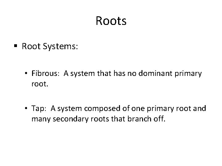 Roots § Root Systems: • Fibrous: A system that has no dominant primary root.