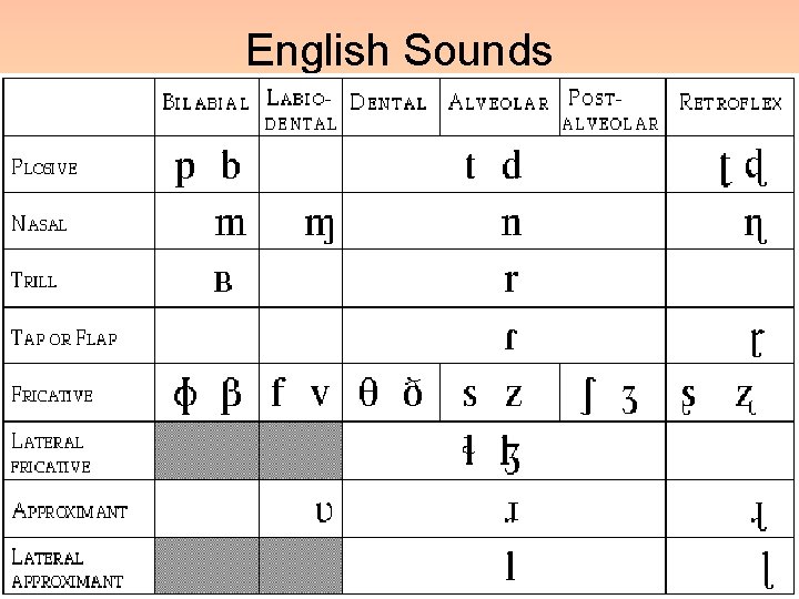 English Sounds 30 