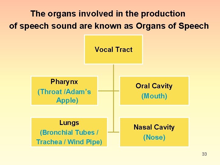 The organs involved in the production of speech sound are known as Organs of