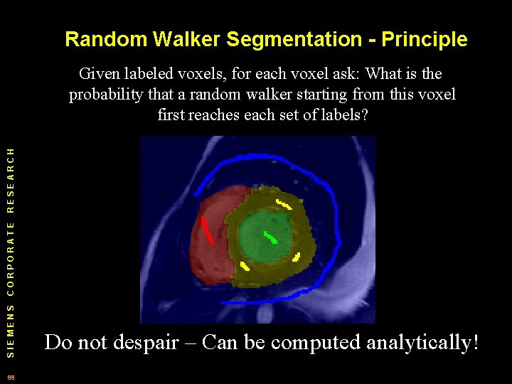 Random Walker Segmentation - Principle SIEMENS CORPORATE RESEARCH Given labeled voxels, for each voxel
