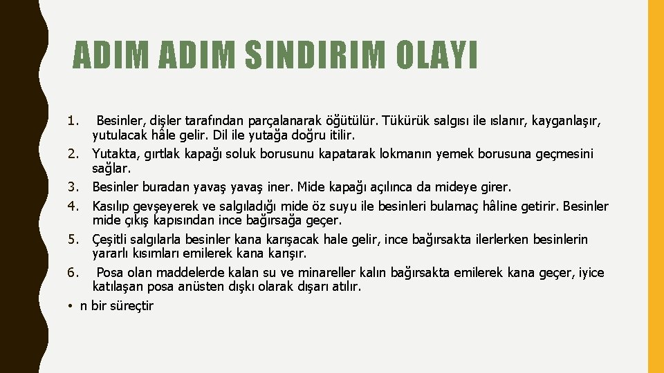 ADIM SINDIRIM OLAYI 1. Besinler, dişler tarafından parçalanarak öğütülür. Tükürük salgısı ile ıslanır, kayganlaşır,