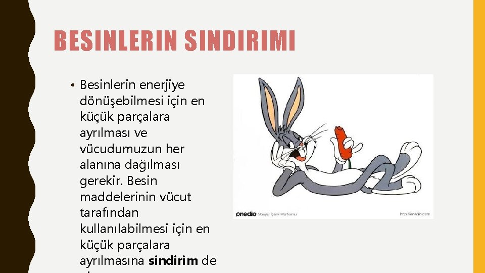 BESINLERIN SINDIRIMI • Besinlerin enerjiye dönüşebilmesi için en küçük parçalara ayrılması ve vücudumuzun her