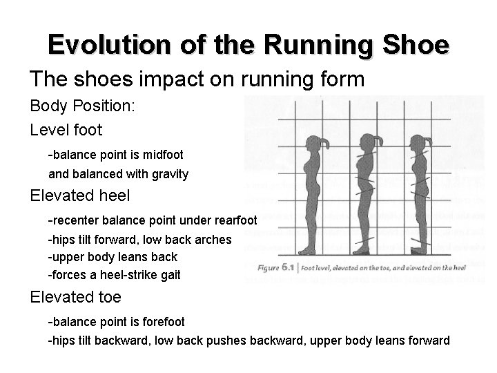 Evolution of the Running Shoe The shoes impact on running form Body Position: Level