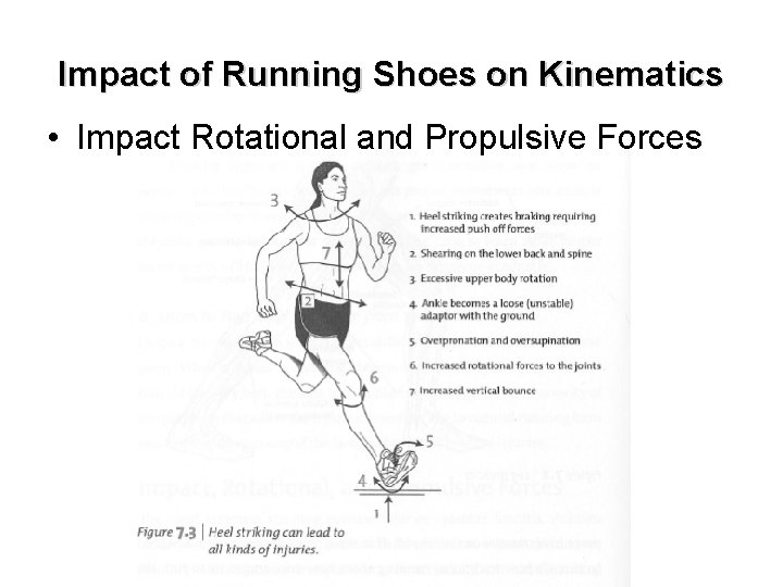 Impact of Running Shoes on Kinematics • Impact Rotational and Propulsive Forces 