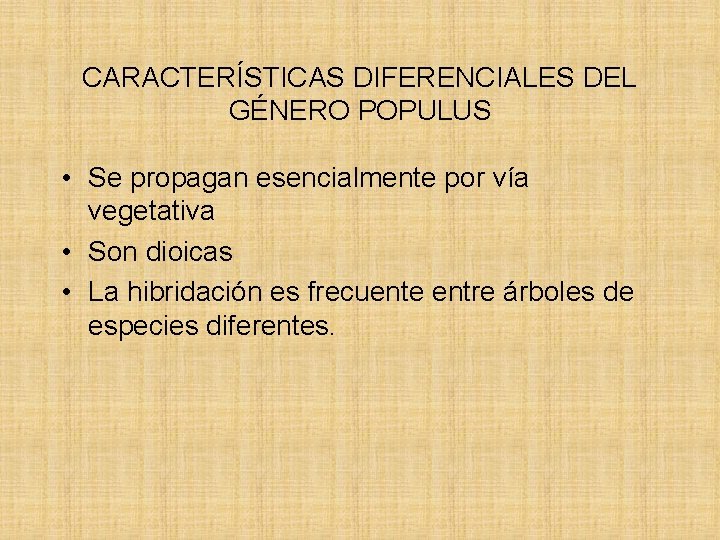 CARACTERÍSTICAS DIFERENCIALES DEL GÉNERO POPULUS • Se propagan esencialmente por vía vegetativa • Son