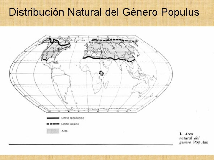 Distribución Natural del Género Populus 