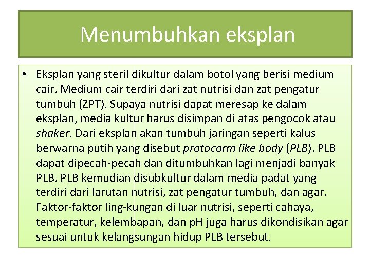  Menumbuhkan eksplan • Eksplan yang steril dikultur dalam botol yang berisi medium cair.