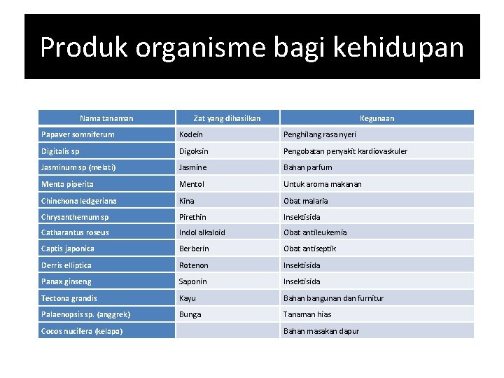 Produk organisme bagi kehidupan Nama tanaman Zat yang dihasilkan Kegunaan Papaver somniferum Kodein Penghilang