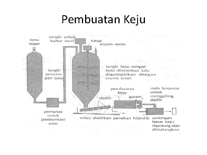 Pembuatan Keju 