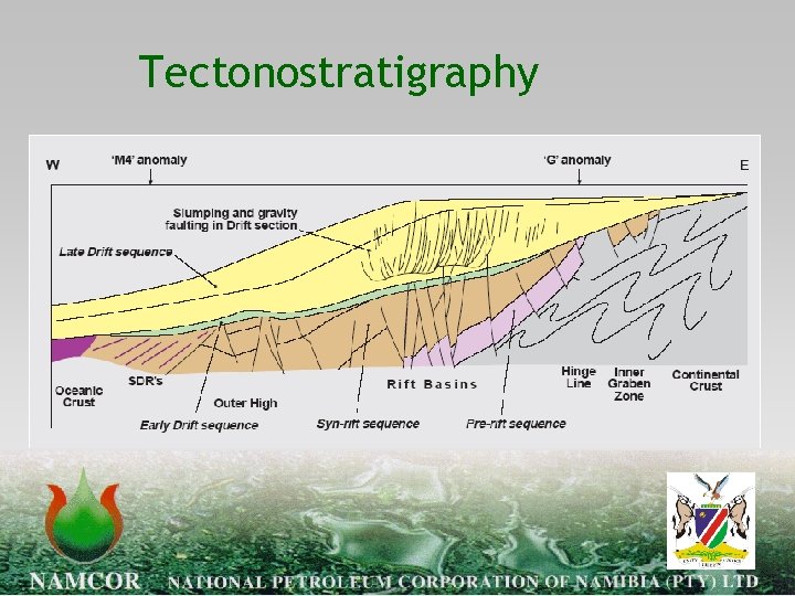 Tectonostratigraphy 
