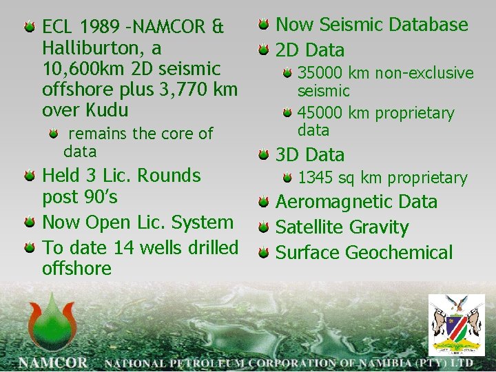 ECL 1989 –NAMCOR & Halliburton, a 10, 600 km 2 D seismic offshore plus
