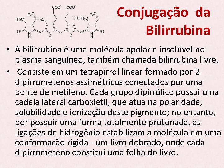 Conjugação da Bilirrubina • A bilirrubina é uma molécula apolar e insolúvel no plasma