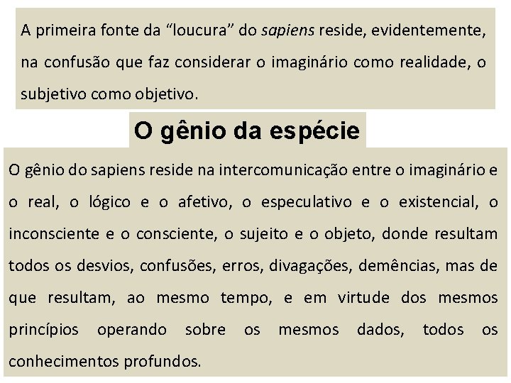 A primeira fonte da “loucura” do sapiens reside, evidentemente, na confusão que faz considerar