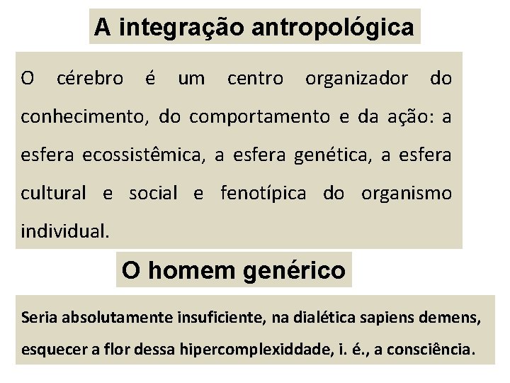 A integração antropológica O cérebro é um centro organizador do conhecimento, do comportamento e