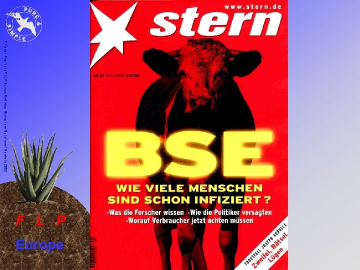 Titelblatt Stern BSE Rinderwa hn © Florian Pabst und © FLP-Europe Rolf Kipp, Biebesheim-Bensheim