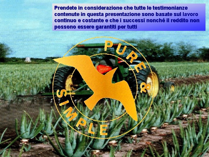 Start © Prendete in considerazione che tutte le testimonianze contenute in questa presentazione sono