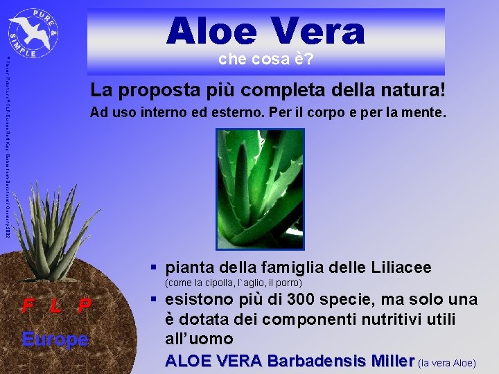 Aloe Vera © che cosa è? Florian Pabst und © FLP-Europe Rolf Kipp, Biebesheim-Bensheim