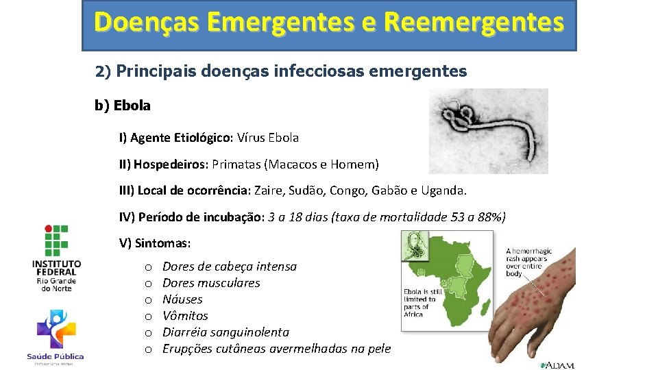 Doenças Emergentes e Reemergentes 2) Principais doenças infecciosas emergentes b) Ebola I) Agente Etiológico: