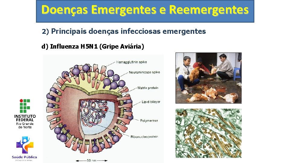 Doenças Emergentes e Reemergentes 2) Principais doenças infecciosas emergentes d) Influenza H 5 N