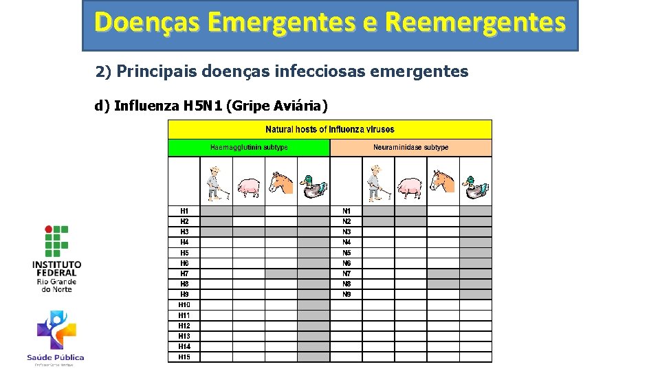 Doenças Emergentes e Reemergentes 2) Principais doenças infecciosas emergentes d) Influenza H 5 N