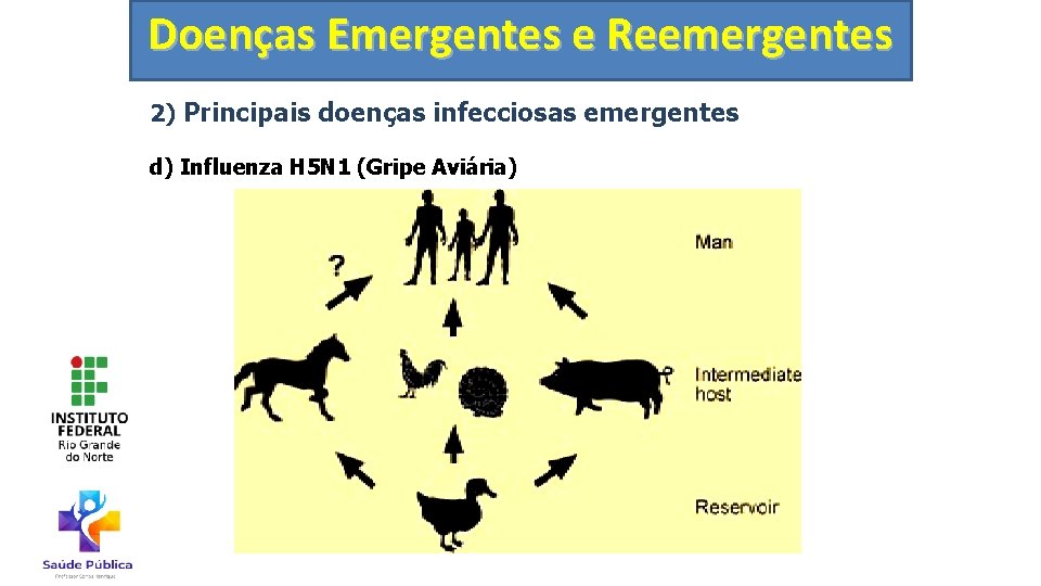 Doenças Emergentes e Reemergentes 2) Principais doenças infecciosas emergentes d) Influenza H 5 N