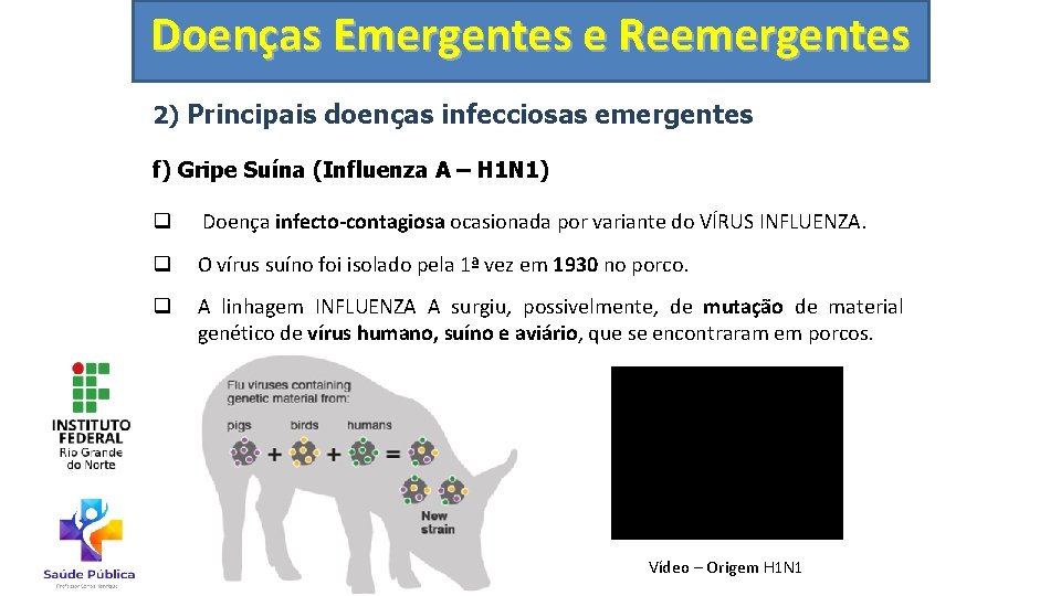 Doenças Emergentes e Reemergentes 2) Principais doenças infecciosas emergentes f) Gripe Suína (Influenza A