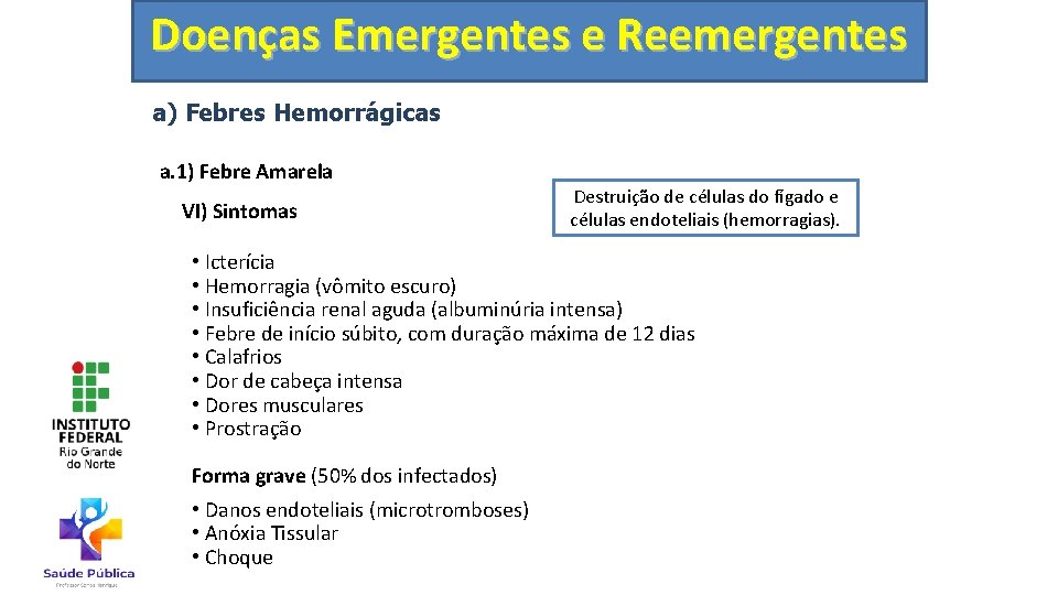 Doenças Emergentes e Reemergentes a) Febres Hemorrágicas a. 1) Febre Amarela VI) Sintomas Destruição
