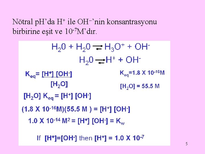 Nötral p. H’da H+ ile OH ’nin konsantrasyonu birbirine eşit ve 10 -7 M’dır.