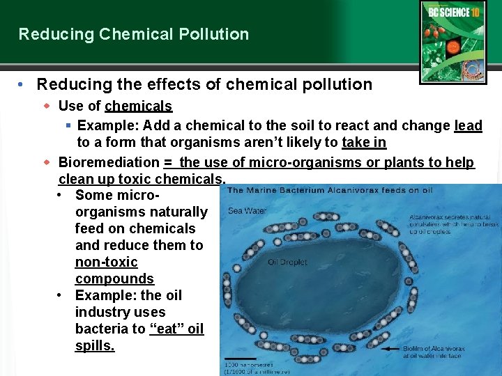 Reducing Chemical Pollution • Reducing the effects of chemical pollution w Use of chemicals