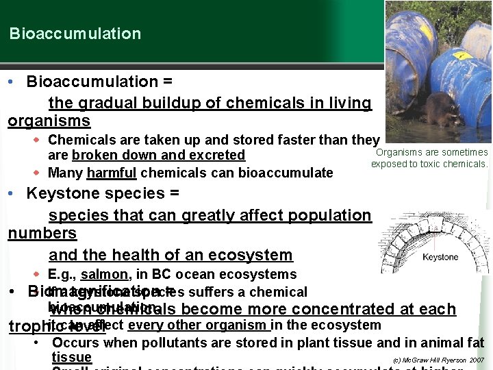 Bioaccumulation • Bioaccumulation = the gradual buildup of chemicals in living organisms w Chemicals