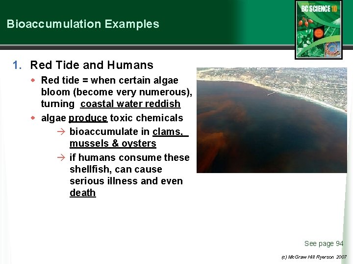 Bioaccumulation Examples 1. Red Tide and Humans w Red tide = when certain algae