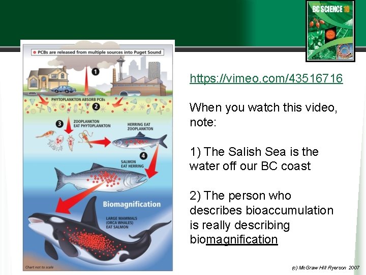 https: //vimeo. com/43516716 When you watch this video, note: 1) The Salish Sea is